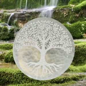 Plaque de rechargement en Selenite - 1