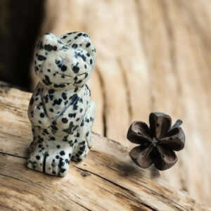 Chat en Jaspe Dalmatien