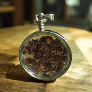 Pendentif Facetté en Grenat