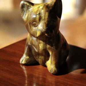 Bulldog en Oeil du Tigre