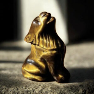 Loup en Oeil de Tigre