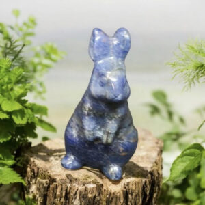 Lapin en Sodalite