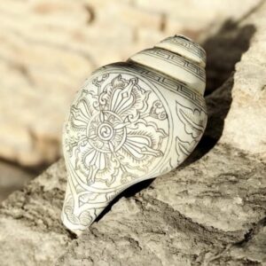 Conque Tibétaine pour Puja Gravé d’un Double Dorje