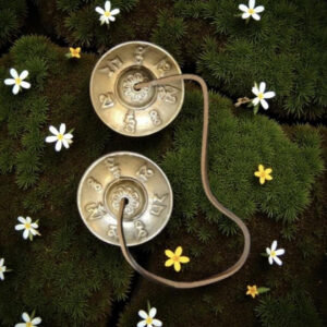 Cymbales Bronze Longue Durée & Vibration  Pure