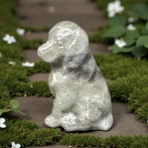 Chien en Labradorite de Madagascar