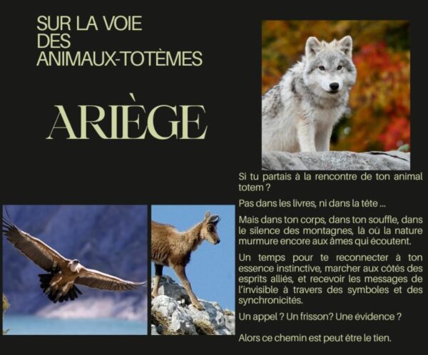 Voyage en Ariège