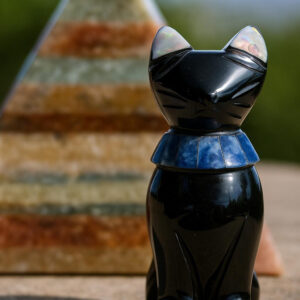Chat en Obsidienne 1